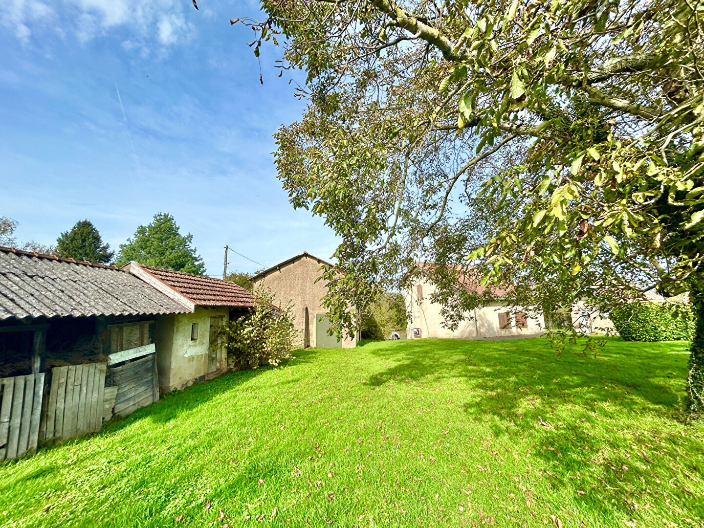 MAISON BRESSANNE AVEC ANNEXES SUR 3050 m2 DE TERRAIN — photo 15