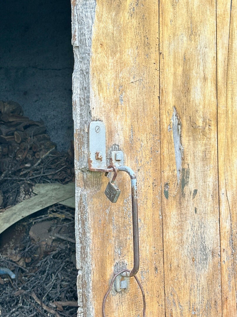 MAISON BRESSANNE AVEC ANNEXES SUR 3050 m2 DE TERRAIN — photo 11