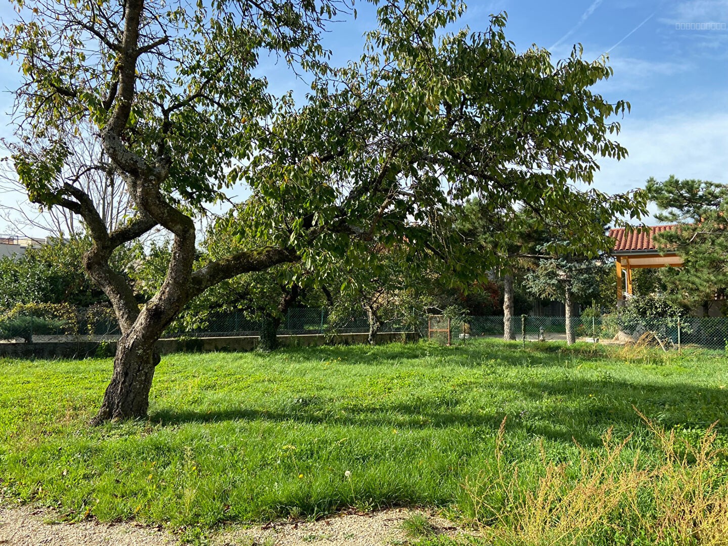 Maison à louer à Brignais, 1 100 m², 5 pièces – photo 3 sur 17