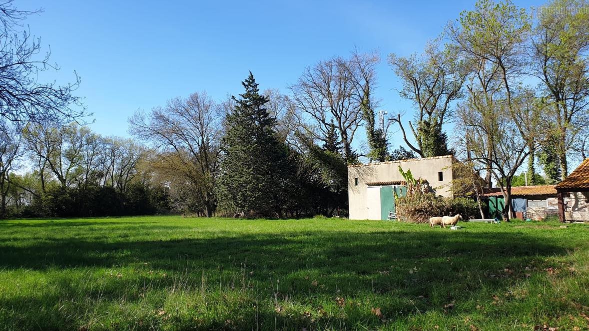 Bien immobilier à vendre à Fontvieille, 510 m², 5 pièces – photo 3 sur 10