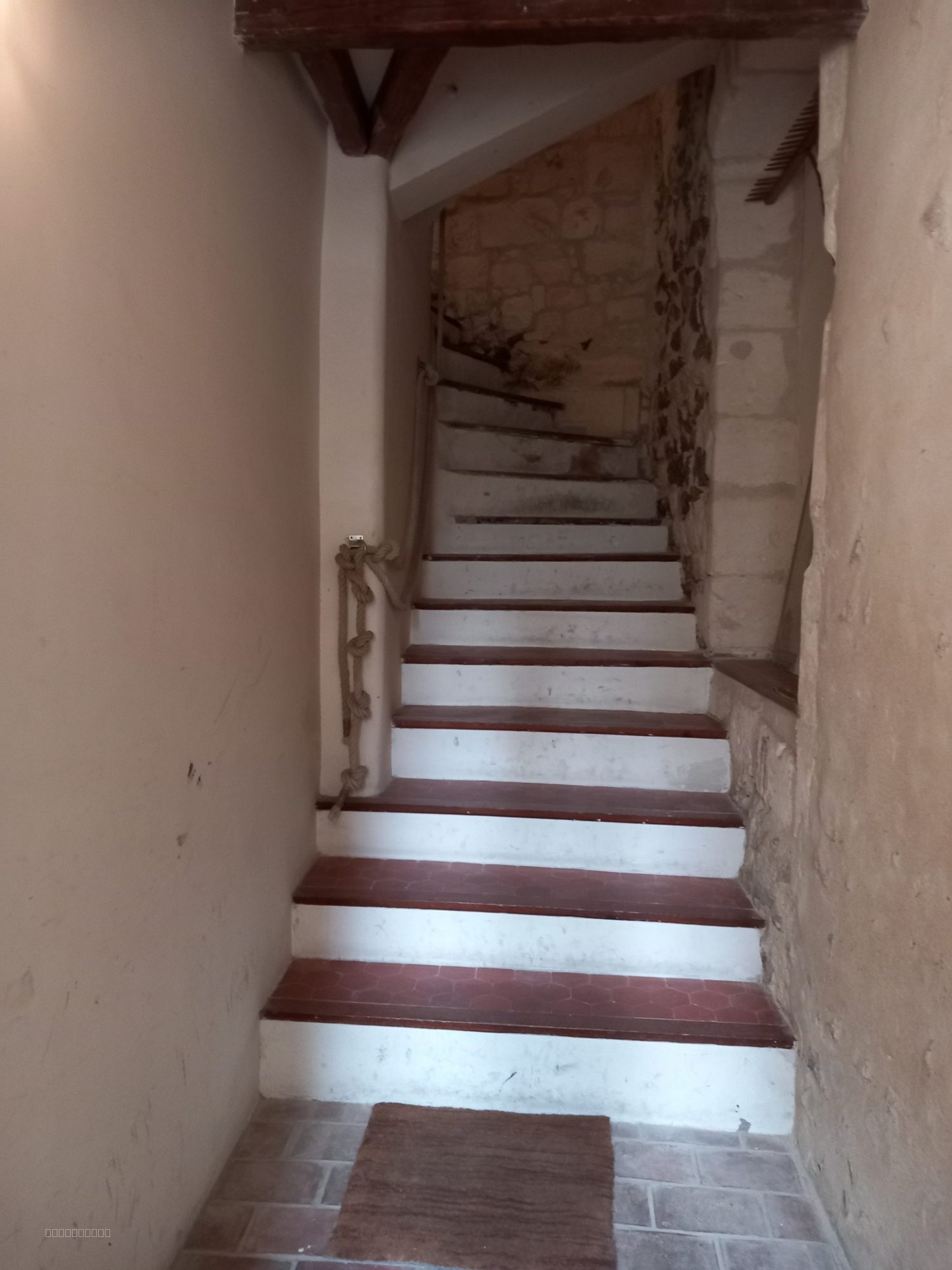 Nouveauté — photo 6
