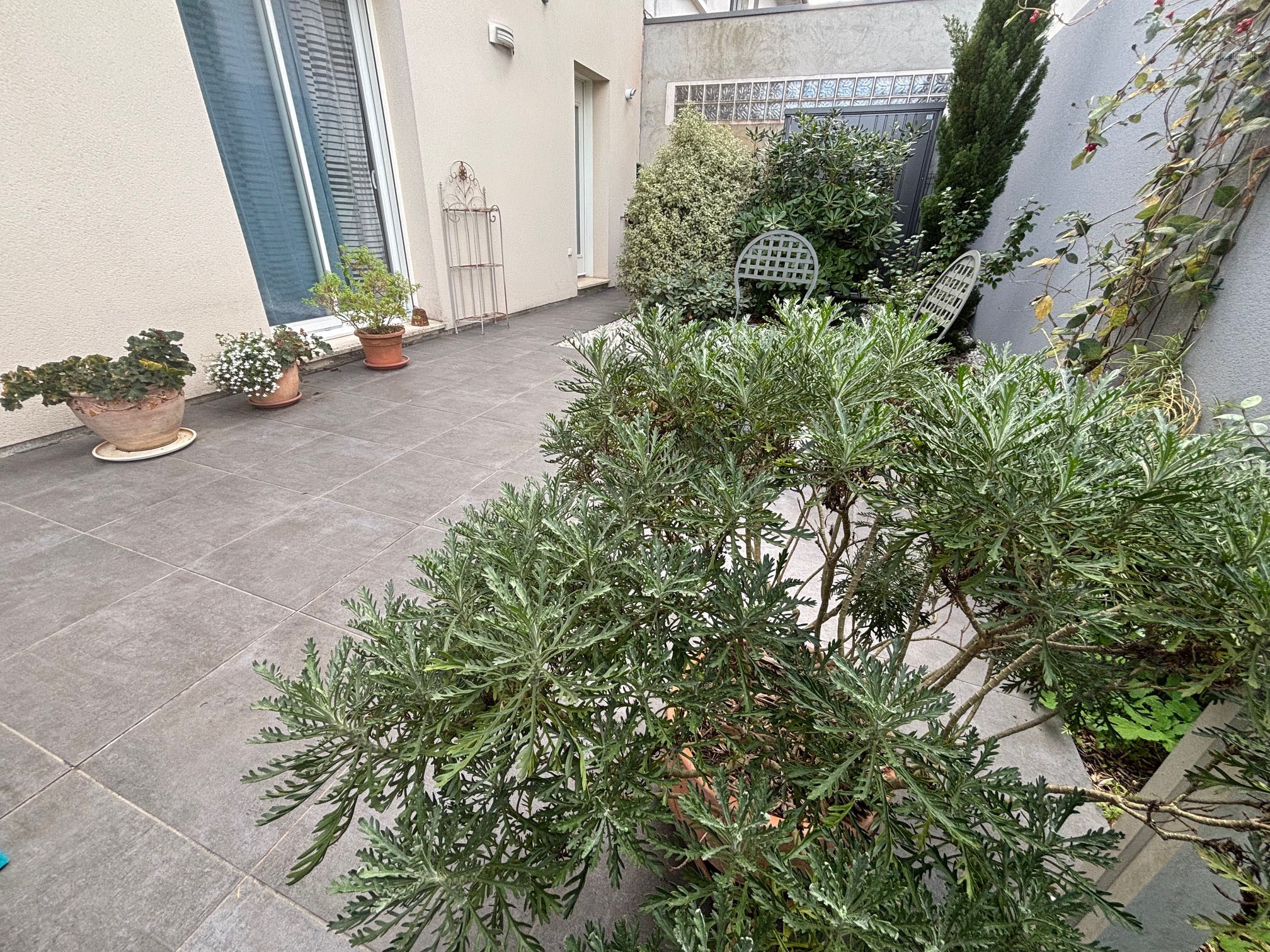 MAISON 5 CHAMBRES BUREAU PLACE CAPEYRON — photo 7