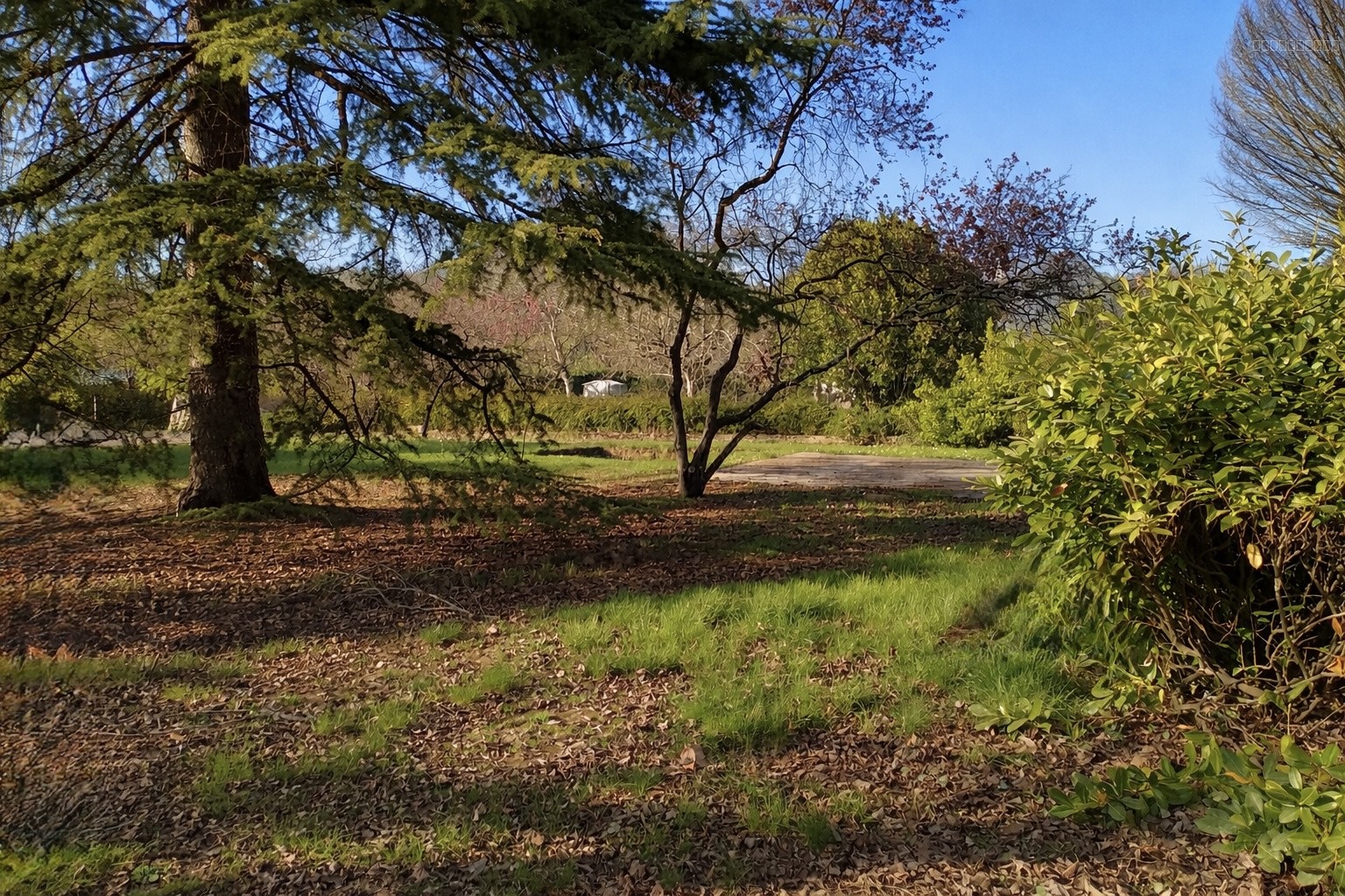 Bien immobilier à vendre à Amboise, 785 m² – photo 1 sur 1