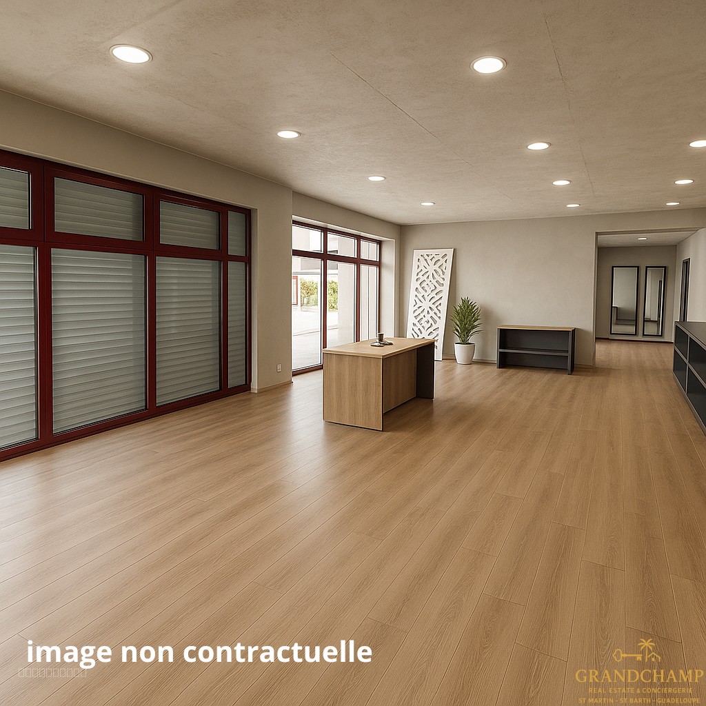 Villa à vendre à Saint martin, 78 m², 3 pièces – photo 2 sur 8
