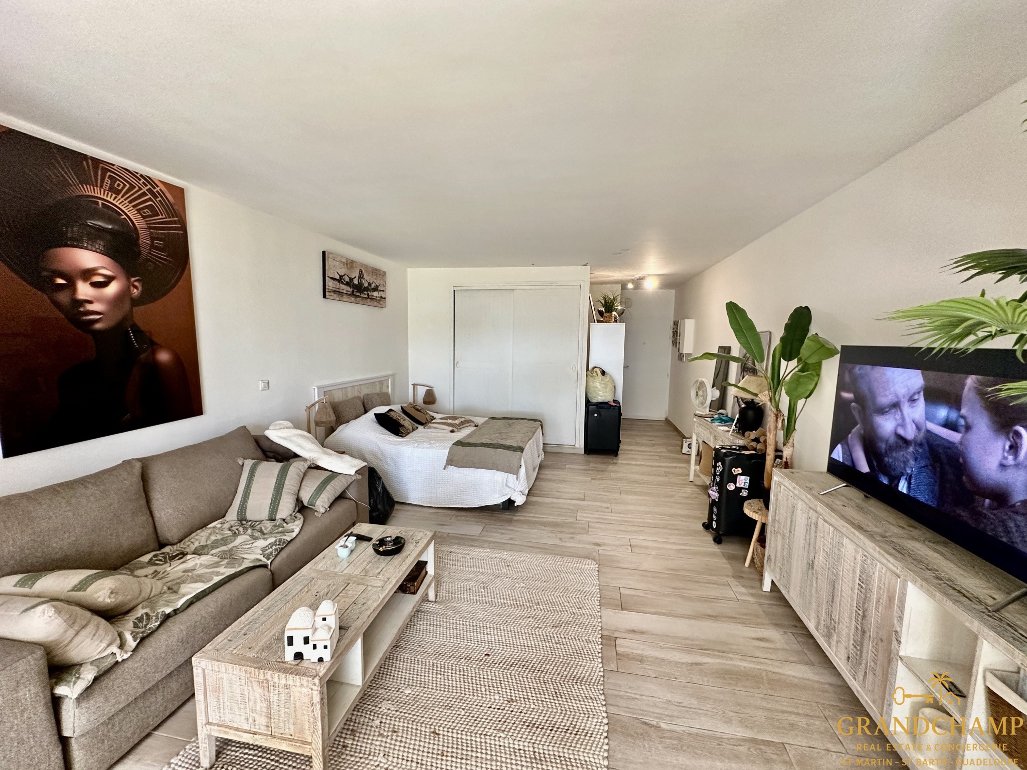 Bien immobilier à vendre à Saint martin, 45 m², 1 pièce – photo 2 sur 9