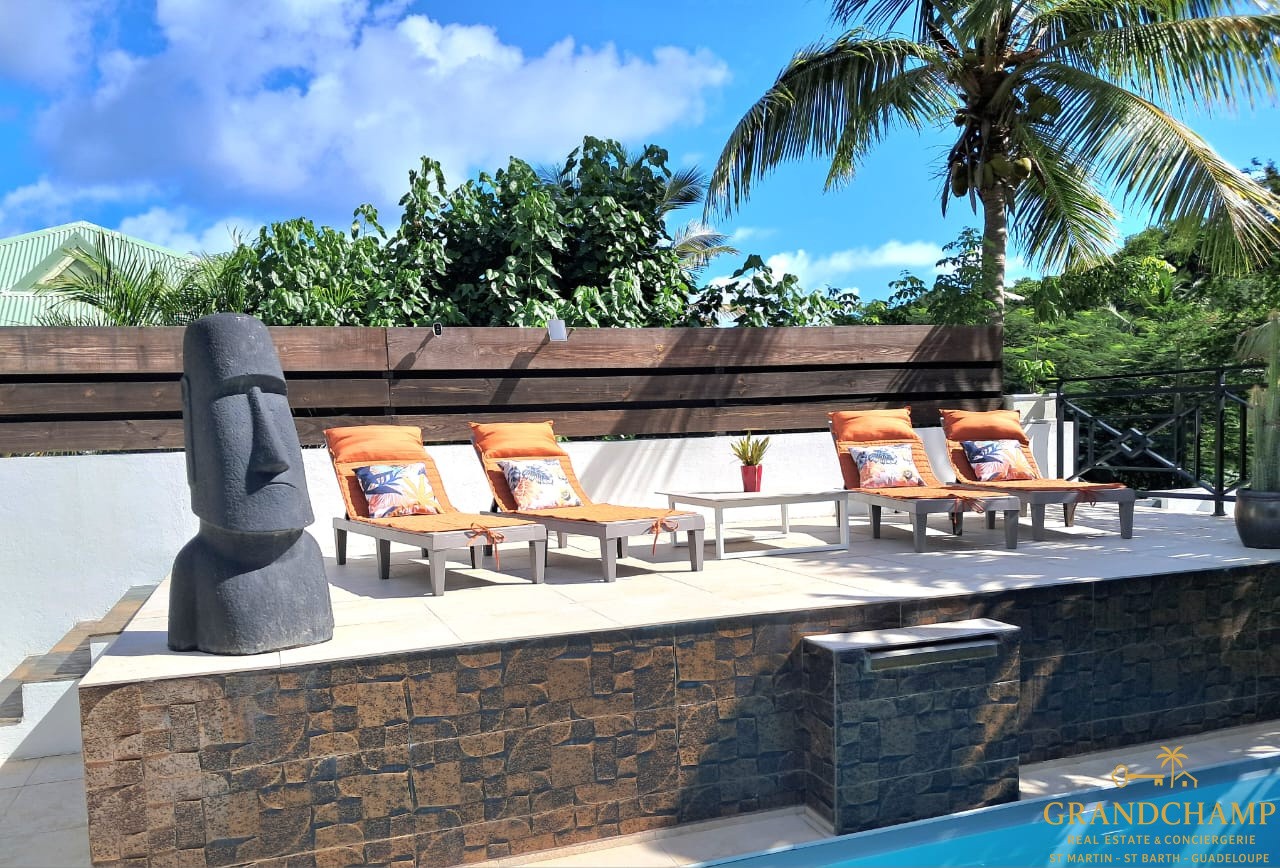 Villa à vendre à Saint martin, 180 m², 5 pièces – photo 1 sur 20