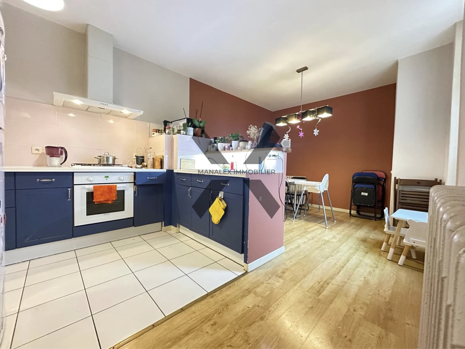 EXCLUSIVITE MANALEX IMMOBILIER - APPARTEMENT - 2 CHAMBRES - JARDIN - CAVE — photo 6