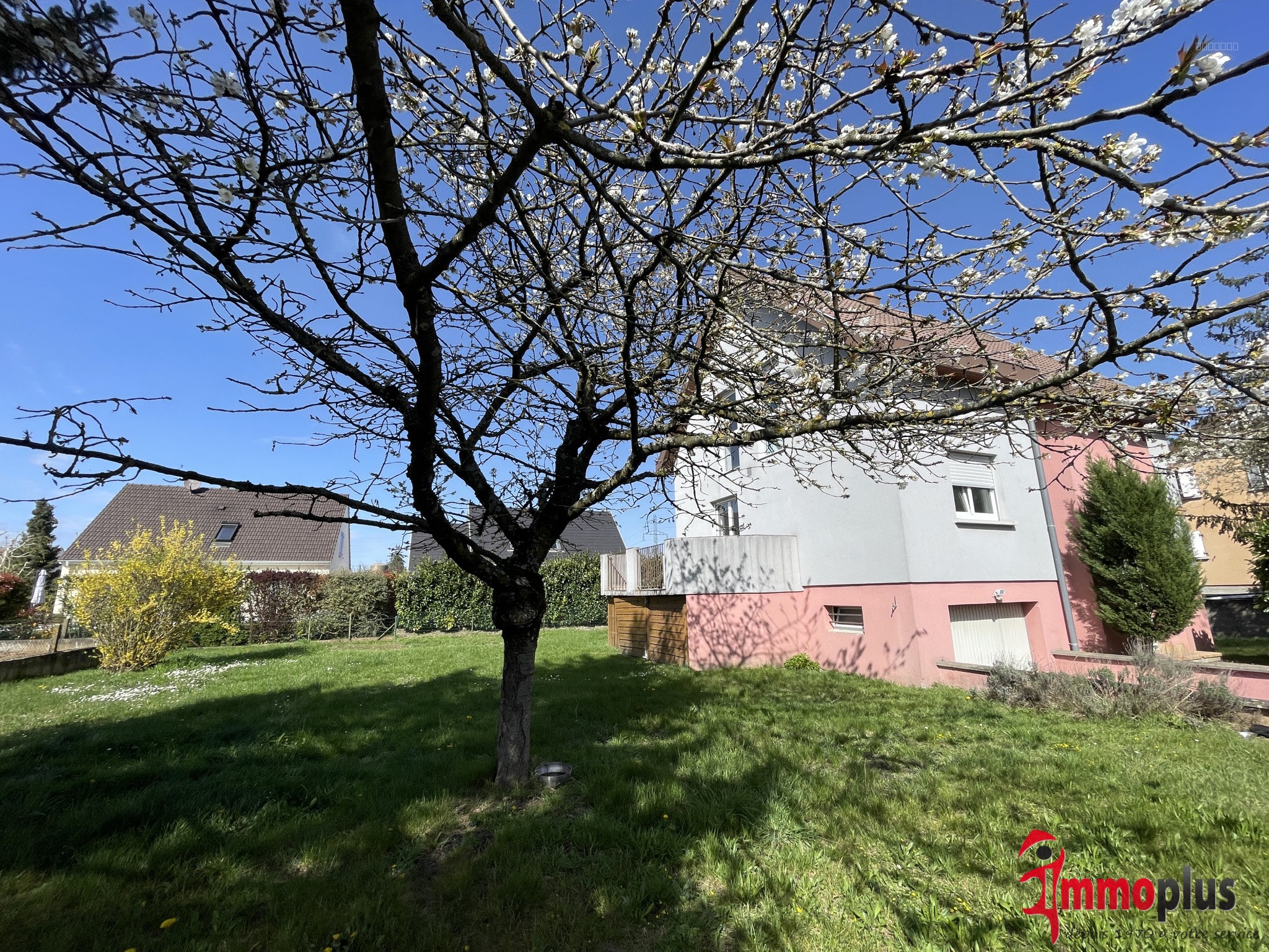 A LOUER MAISON 3 CHAMBRES BATTENHEIM GRAND JARDIN — photo 1