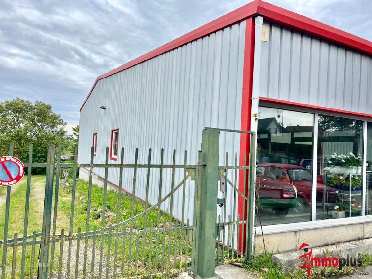 Local commercial à vendre à Waltenheim, 360 m² – photo 2 sur 6