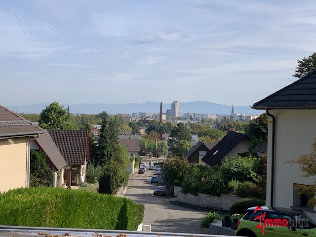 Maison à vendre à Mulhouse, 1 452 m², 7 pièces – photo 2 sur 20