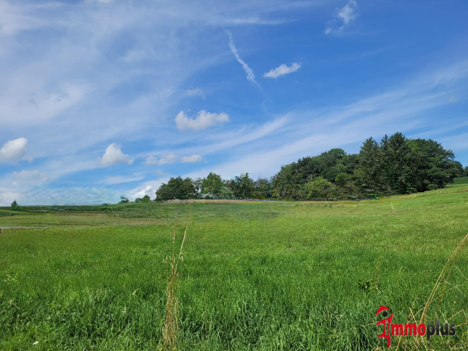 Bien immobilier à vendre à Hagenthal le bas, 3 500 m² – photo 1 sur 1