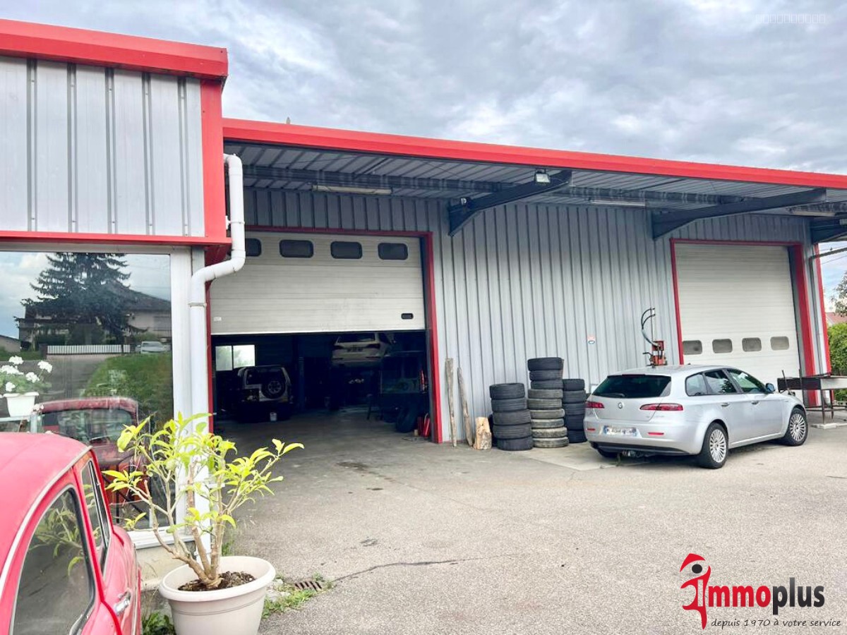 Local commercial à vendre à Waltenheim, 360 m² – photo 1 sur 6