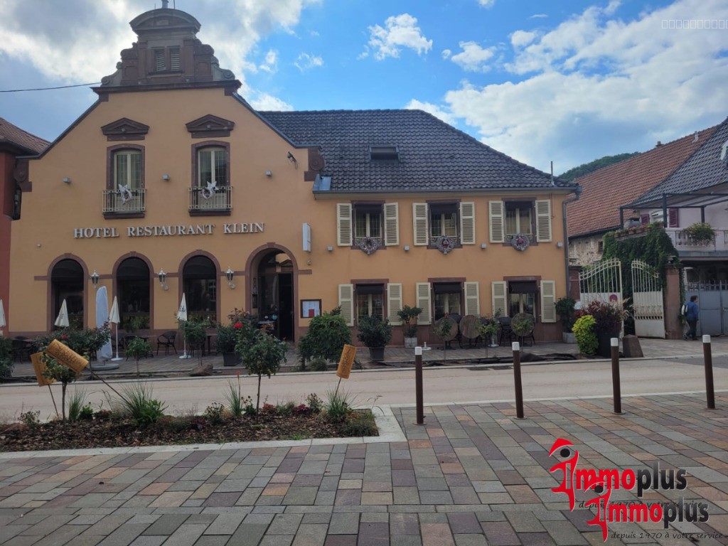 Local commercial à vendre à Soultzmatt, 712 m², 17 pièces – photo 1 sur 15