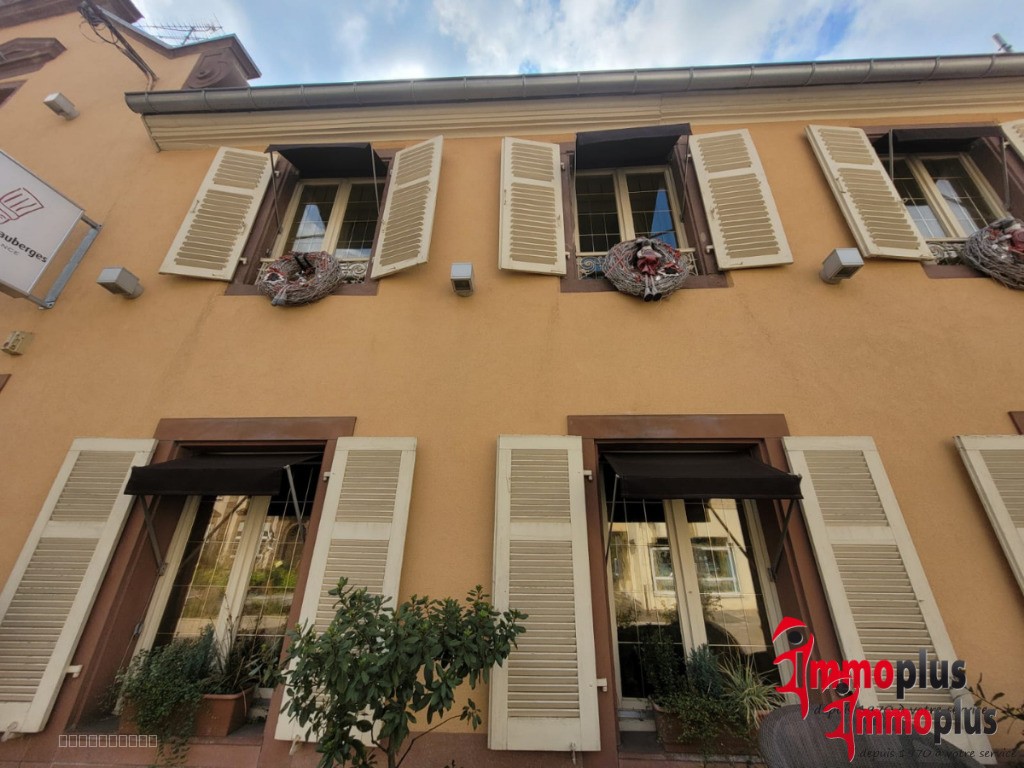 Local commercial à vendre à Soultzmatt, 712 m², 17 pièces – photo 2 sur 15
