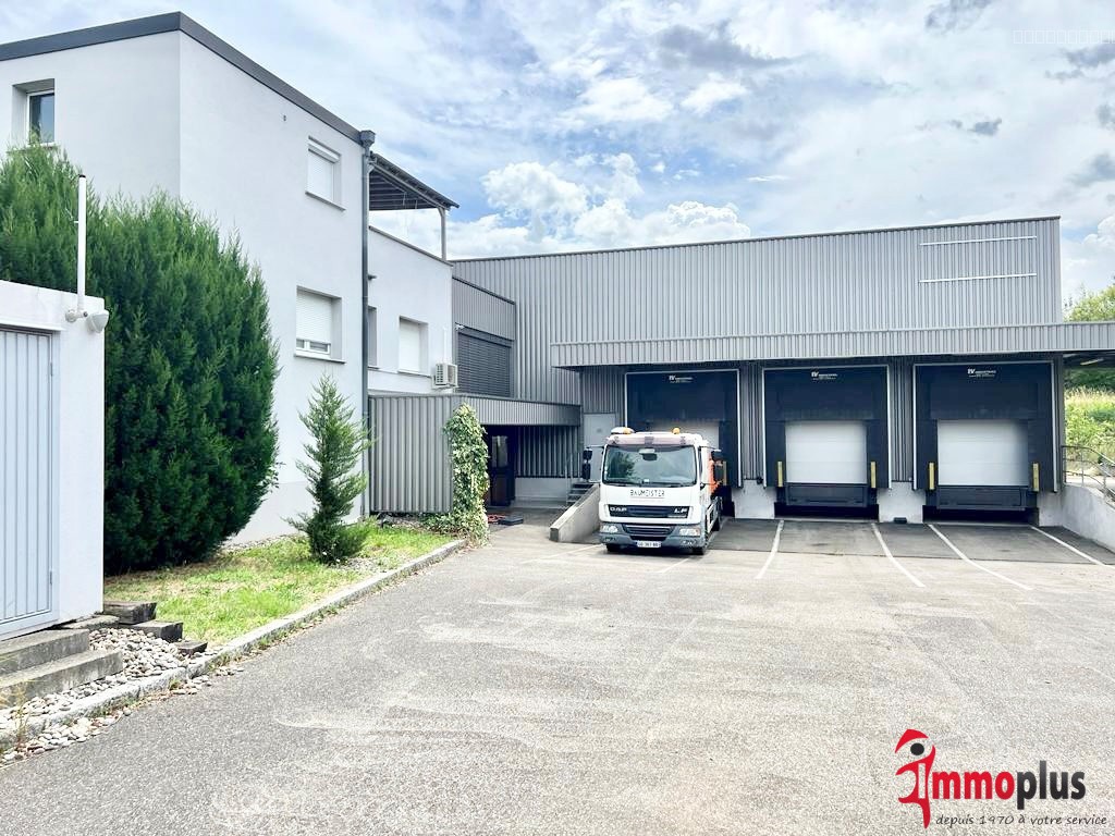 Bien immobilier à louer à Hesingue, 2 569 m² – photo 1 sur 9