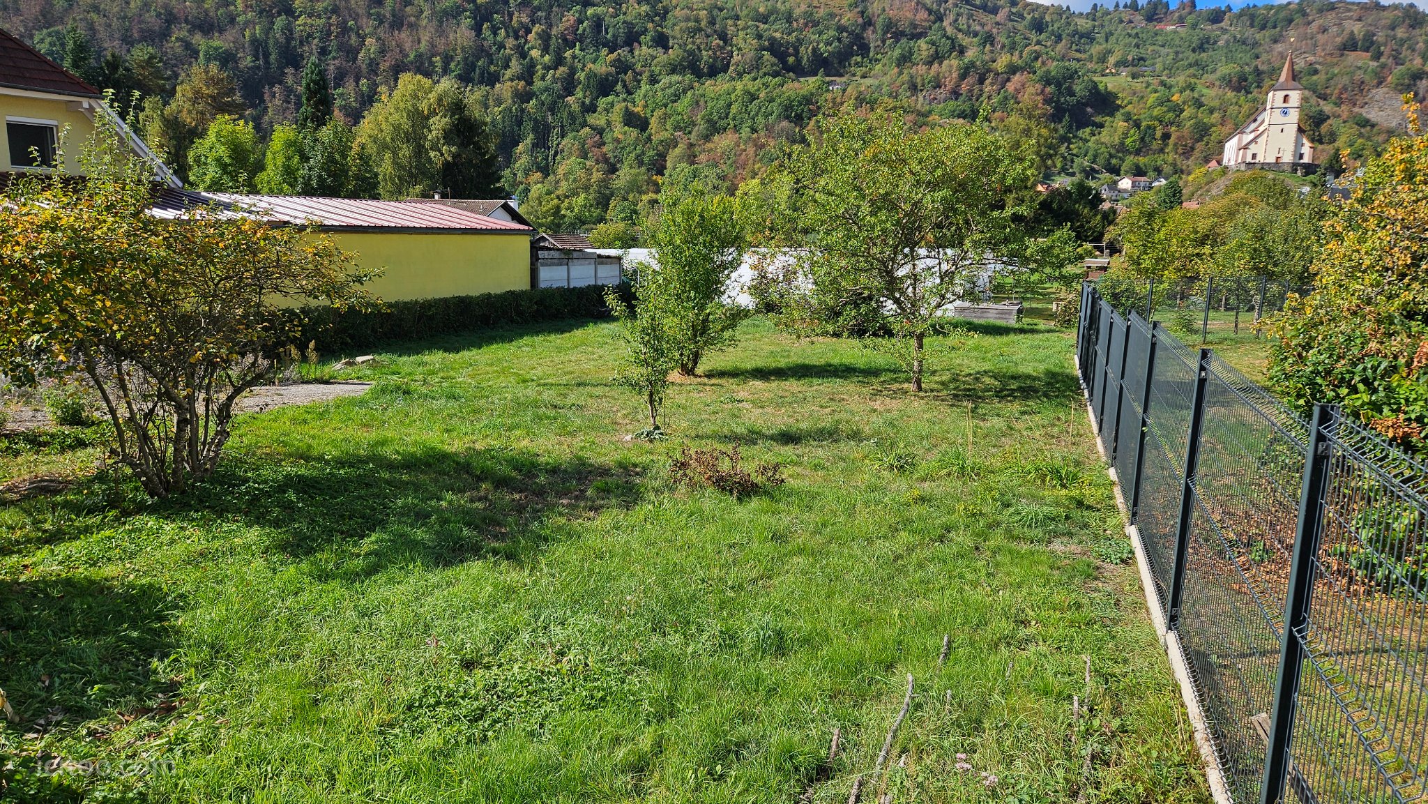 Terrain à vendre à Oderen : terrain avec pelouse, arbres et clôture métallique. Une maison est visible au loin