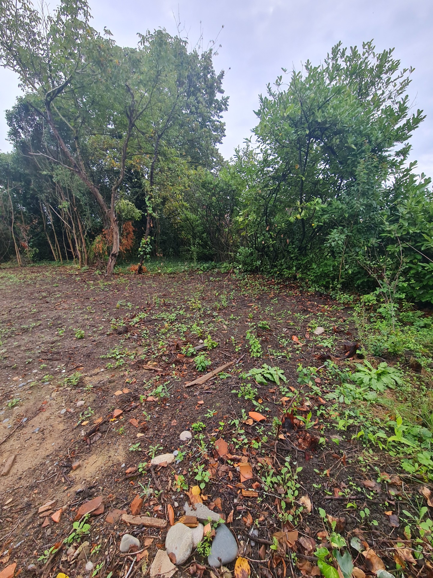 Un terrain constructible de 1487m2 — photo 8