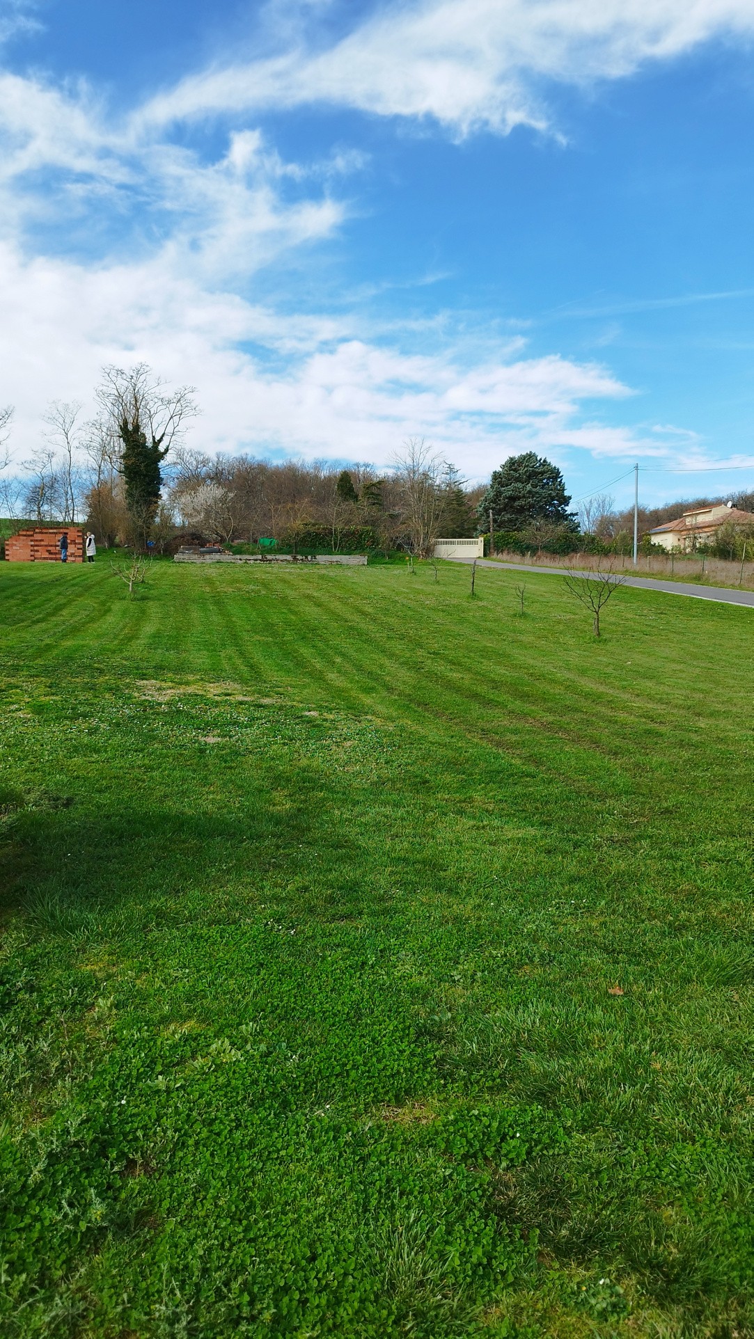 TERRAIN DE 799M2 SAINT SULPICE SUR LEZE — photo 6