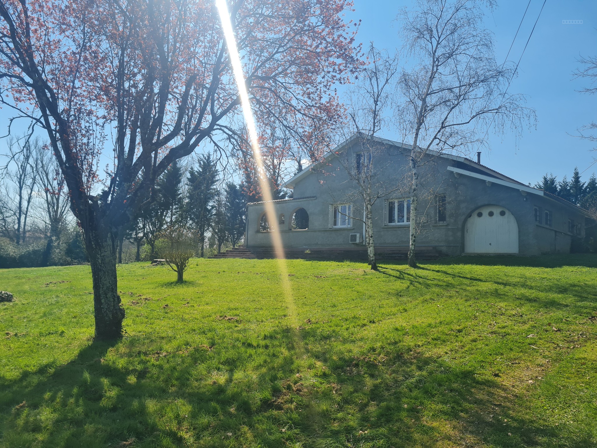 Villa T5 avec terrain plus piscine sur 3724m2 à remettre aux normes — photo 11