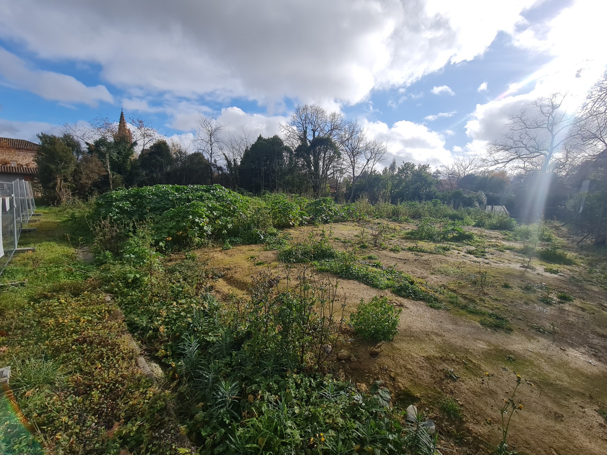 Un terrain constructible de 1487m2 — photo 15
