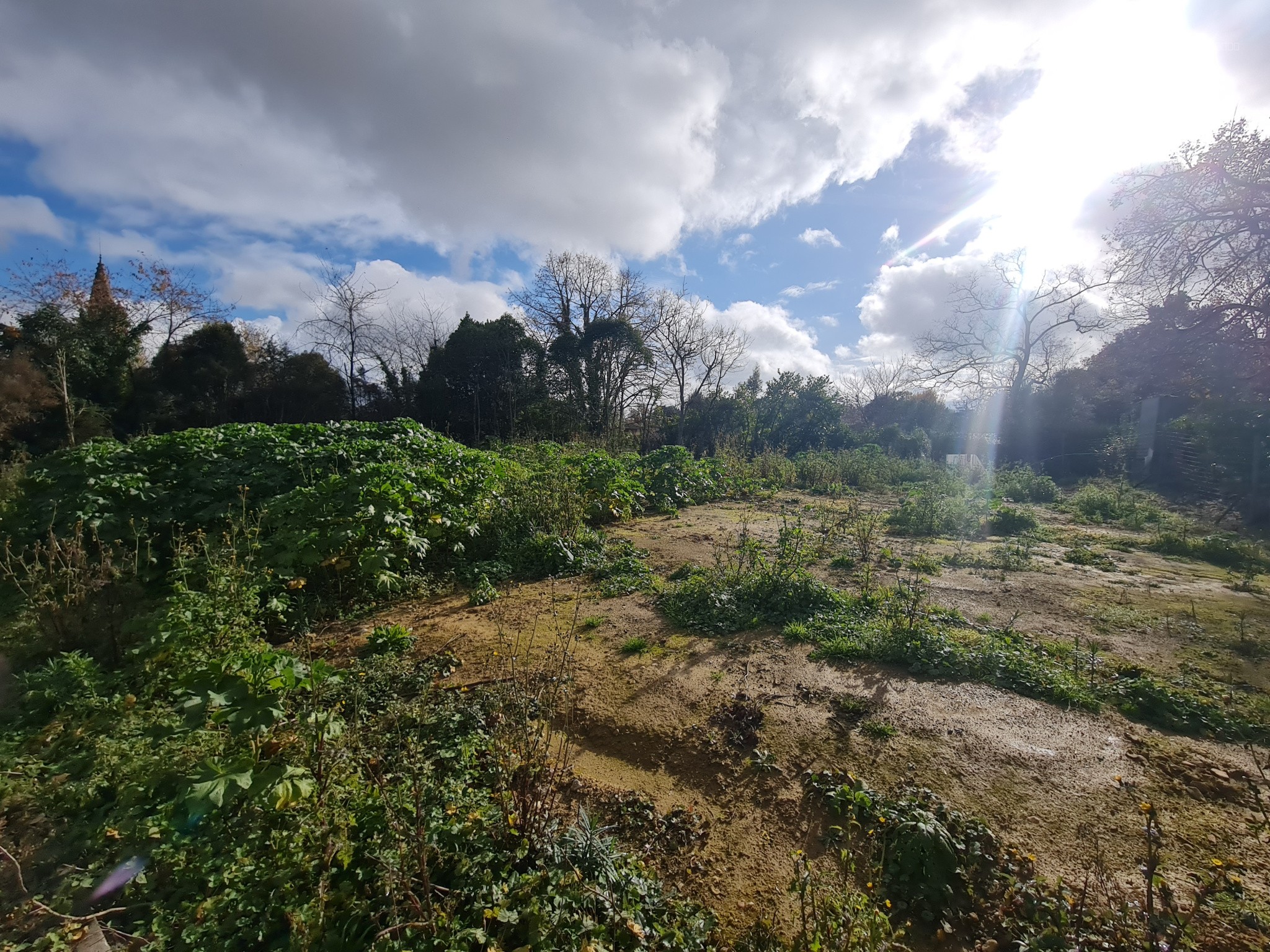 Un terrain constructible de 1487m2 — photo 7