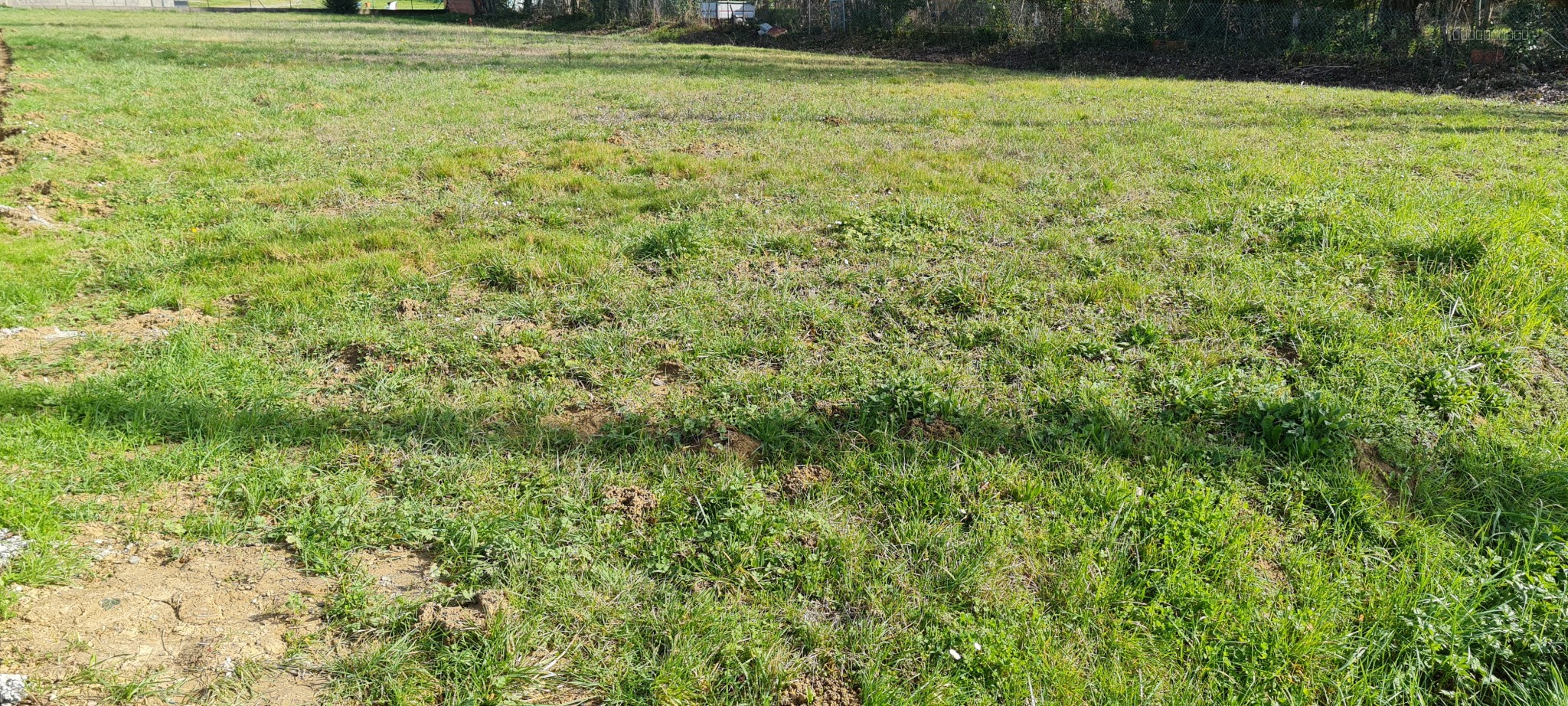 À Saint-Sulpice-Sur-Lèze, terrain de 738m2 — photo 3