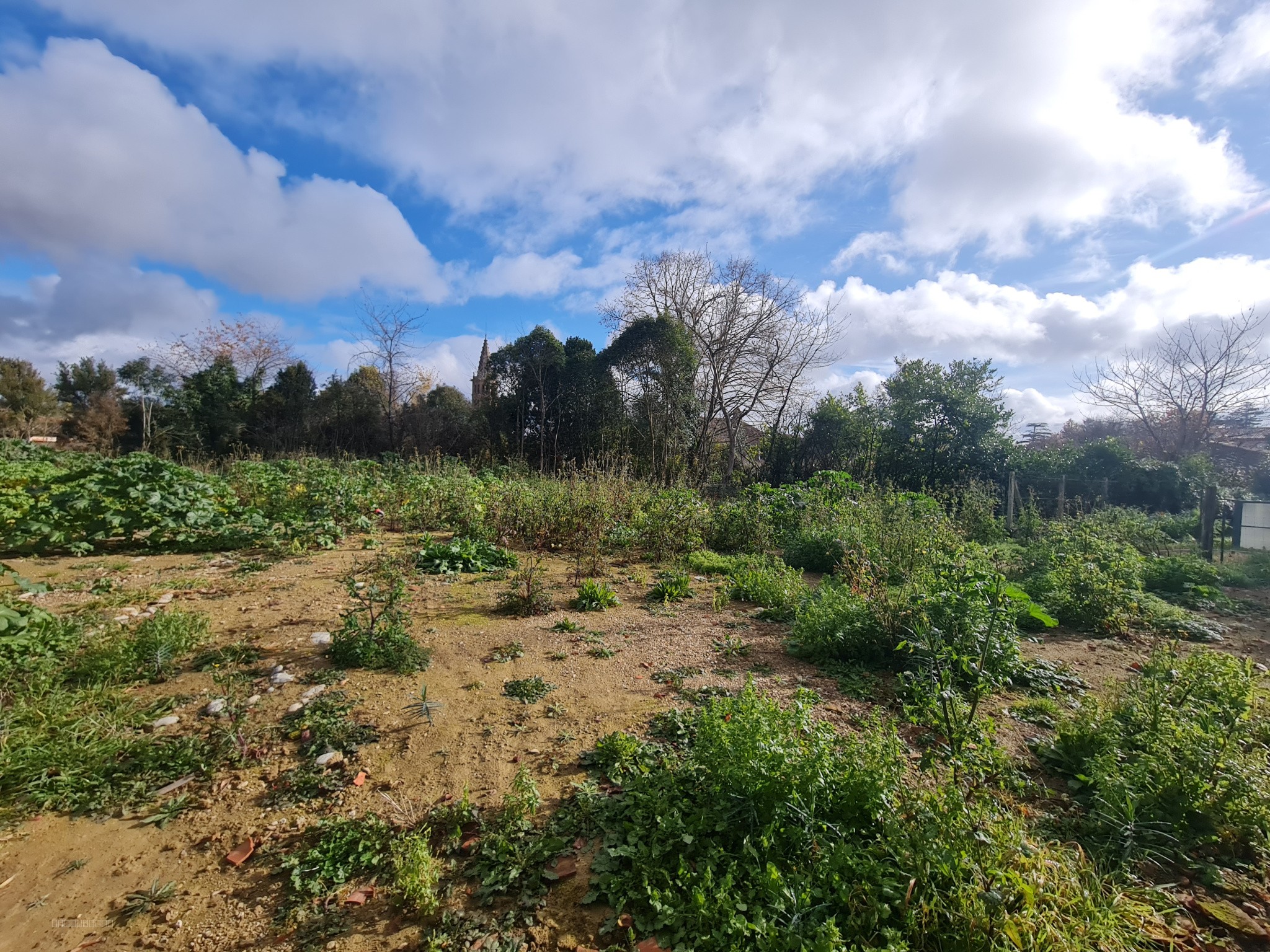 Un terrain constructible de 1487m2 — photo 14