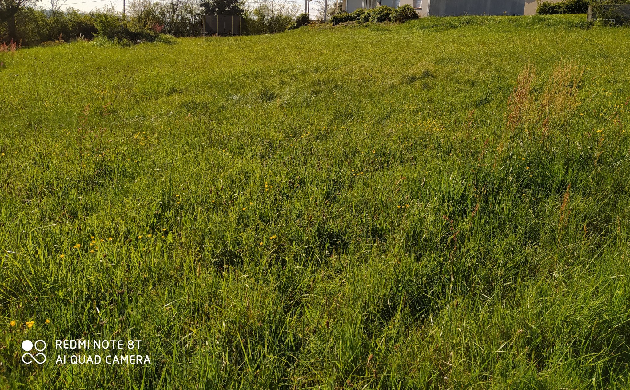 Terrain à vendre à Lezat sur leze, 1 961 m² – photo 3 sur 4