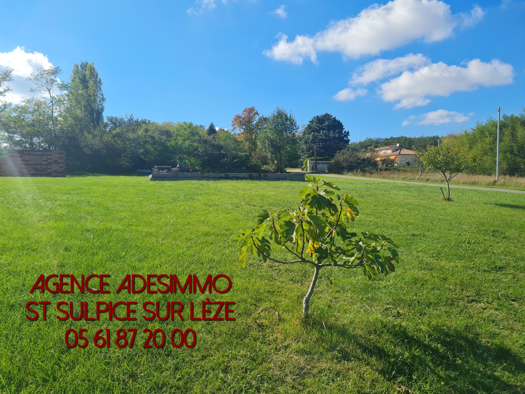 TERRAIN DE 799M2 SAINT SULPICE SUR LEZE — photo 3