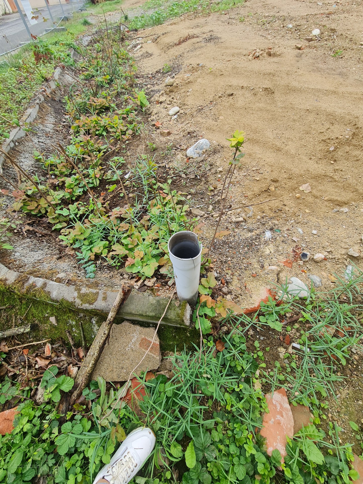 Un terrain constructible de 1487m2 — photo 10