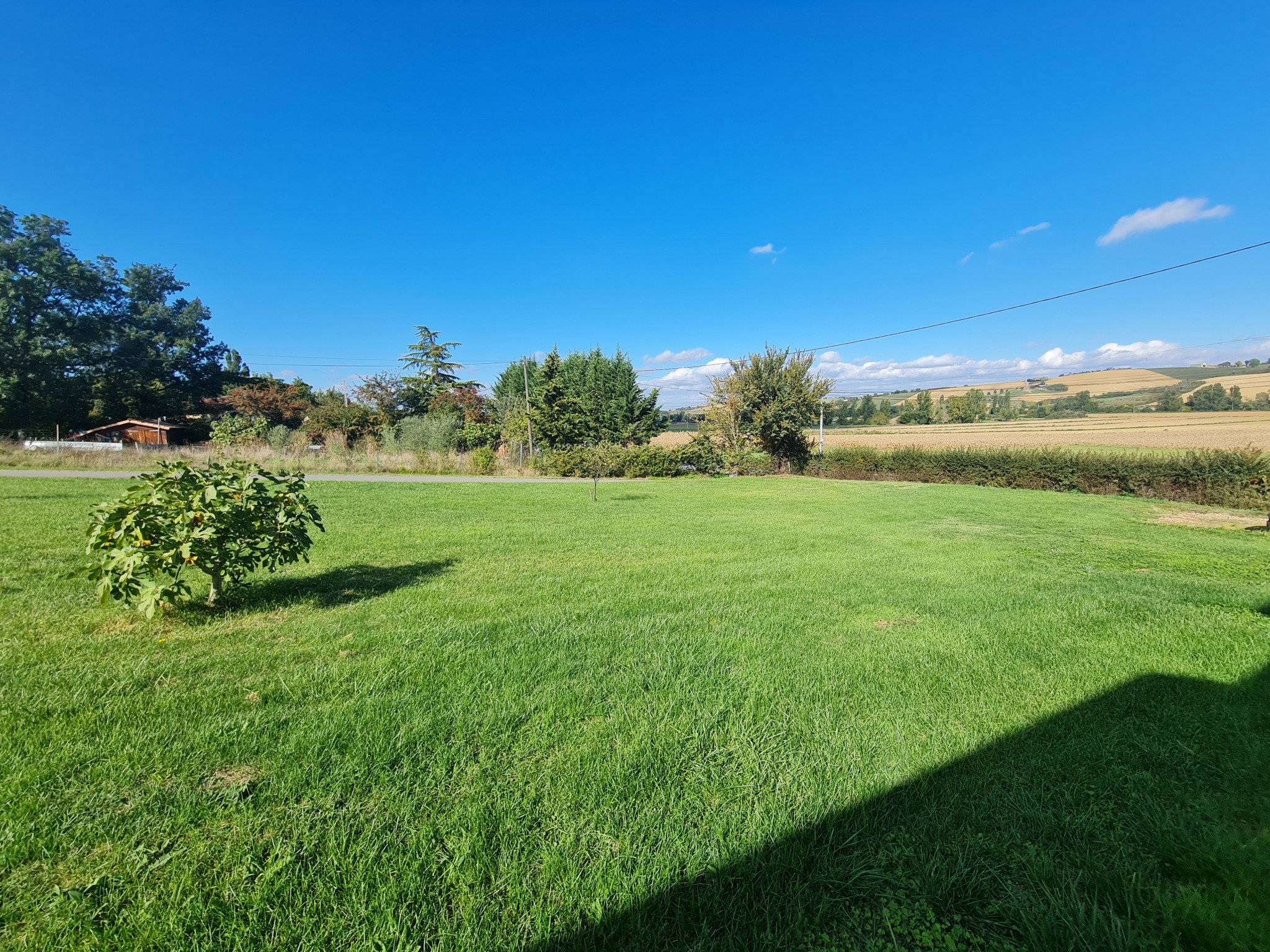 TERRAIN DE 799M2 SAINT SULPICE SUR LEZE — photo 7