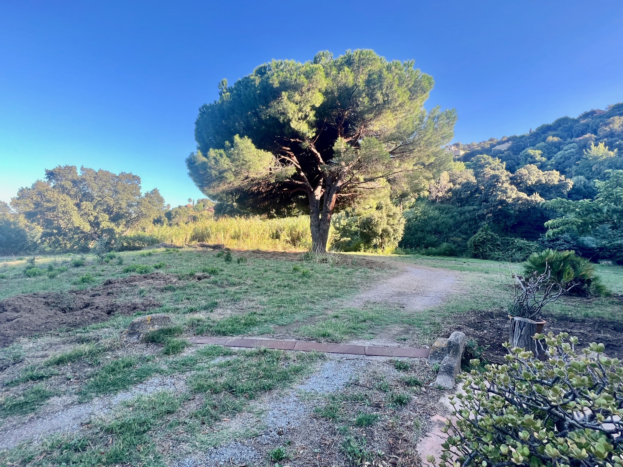 Maison à vendre à Cavalaire sur mer, 120 m², 5 pièces – photo 2 sur 19