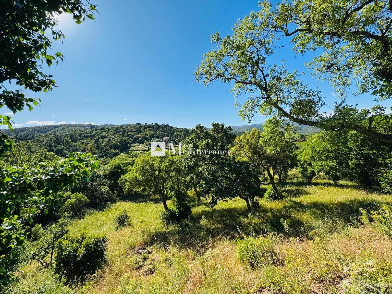 Maison à vendre à La mole, 163 m², 3 pièces – photo 3 sur 15