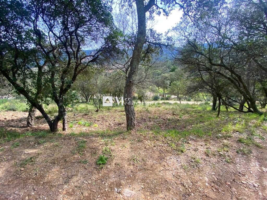 Bien immobilier à vendre à La mole, 2 153 m² – photo 3 sur 5