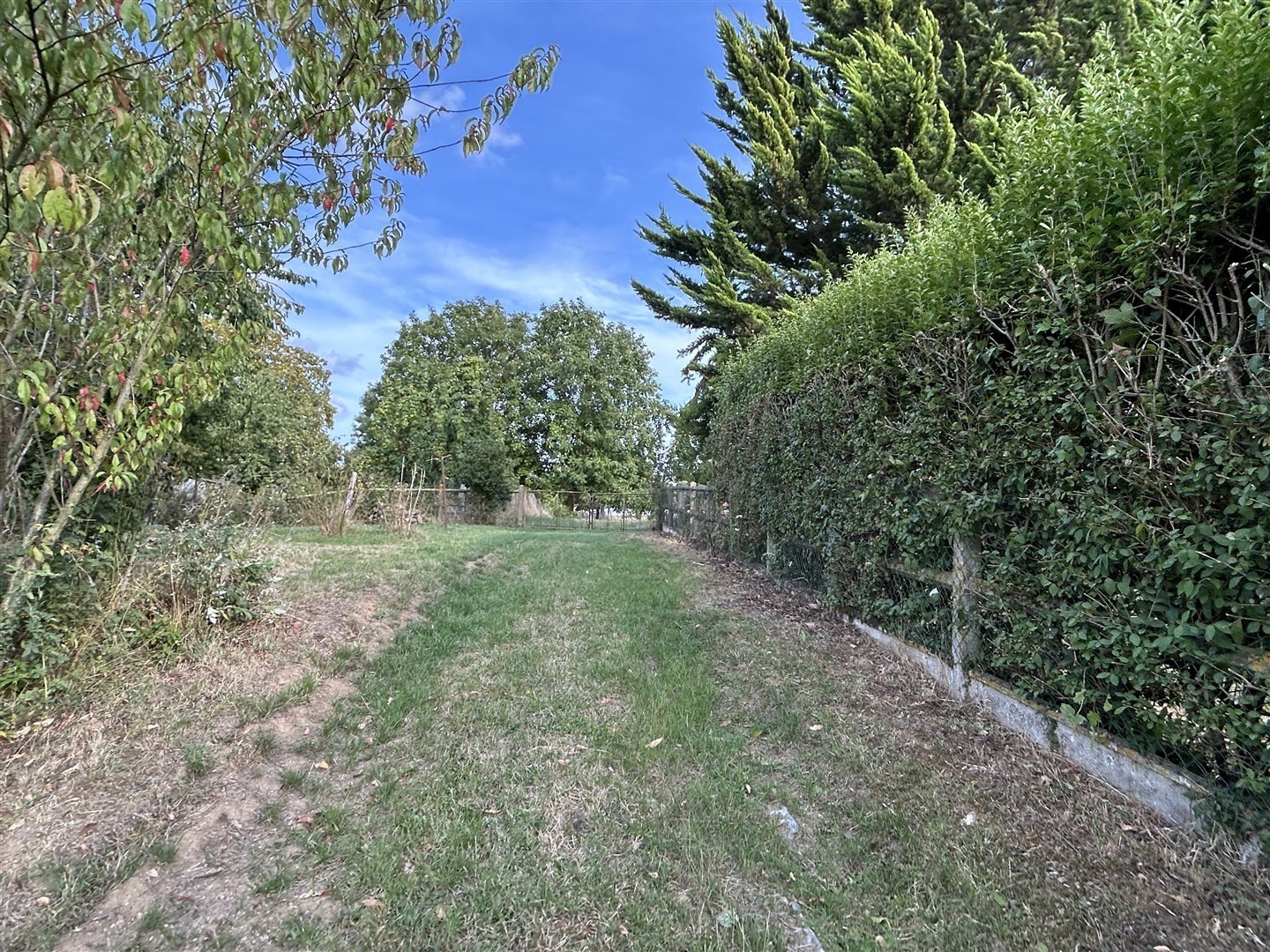 Jolie maison en pierres T4 d'environ 147m2 habitables avec dépendance annexe sur un terrain de 7910m2 avec her — photo 19