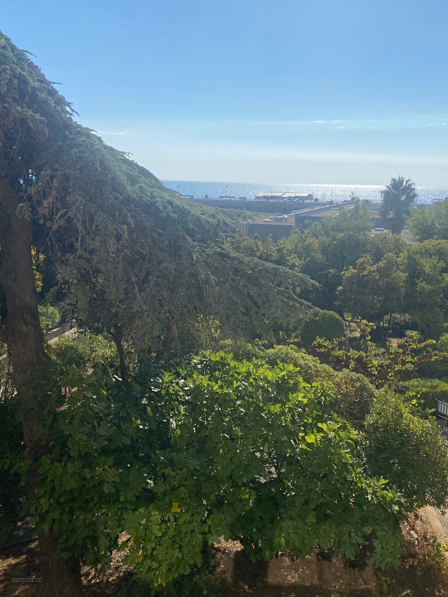 Appartement corniche vue mer — photo 4