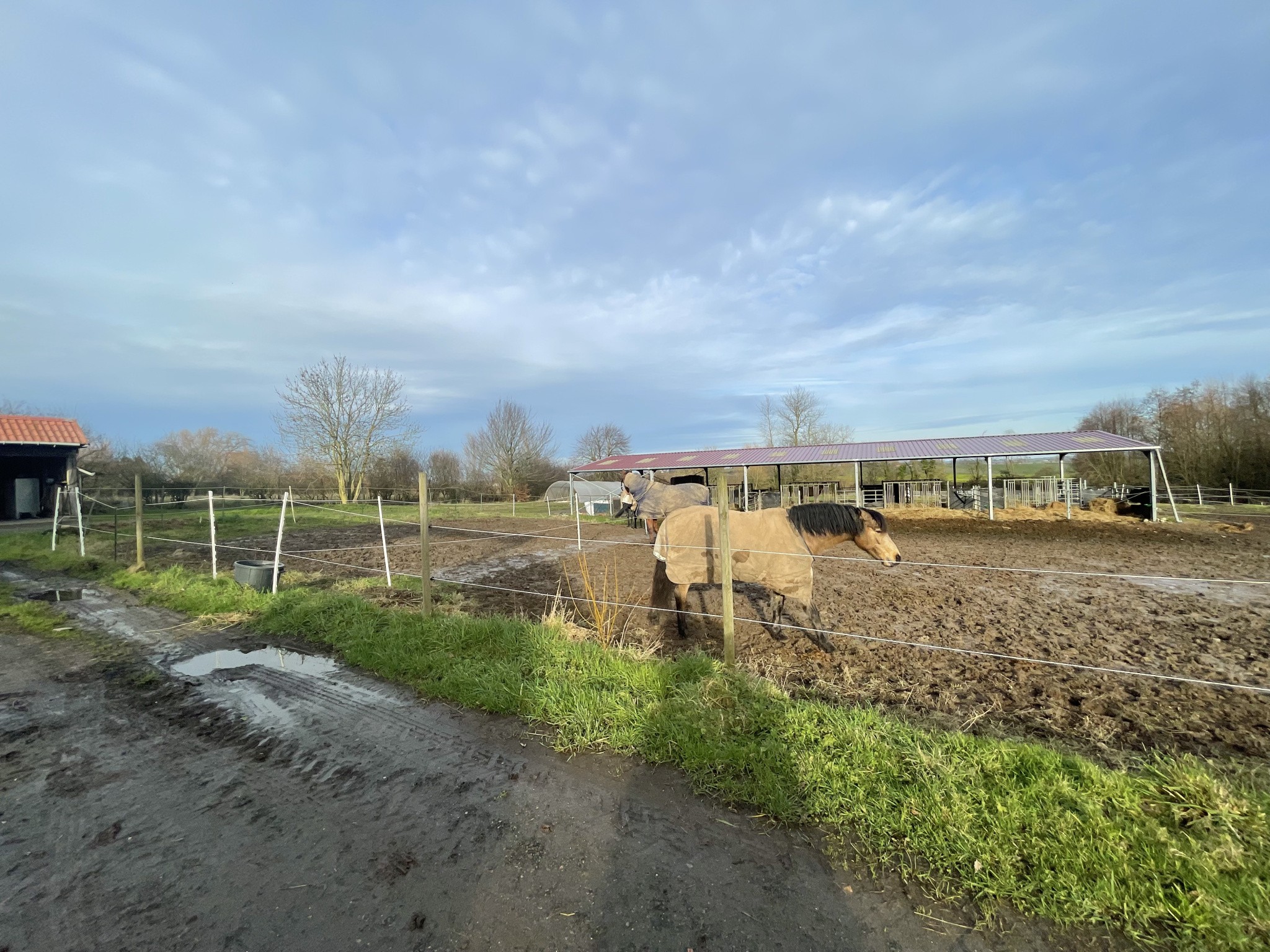 Bien immobilier à vendre à Cassel, 53 m², 10 pièces – photo 3 sur 13