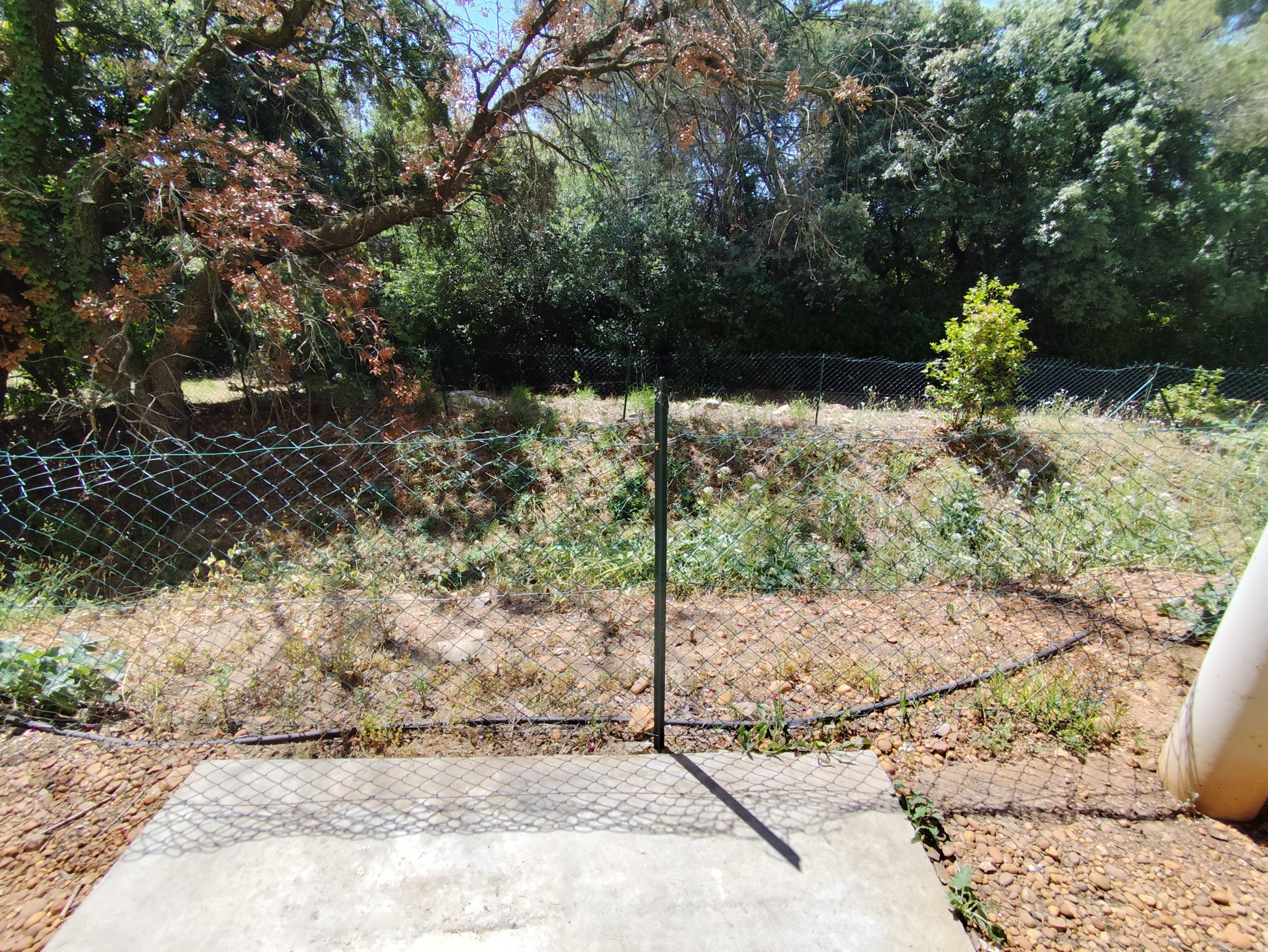Bien immobilier à vendre à Nimes, 30 m², 1 pièce – photo 2 sur 5
