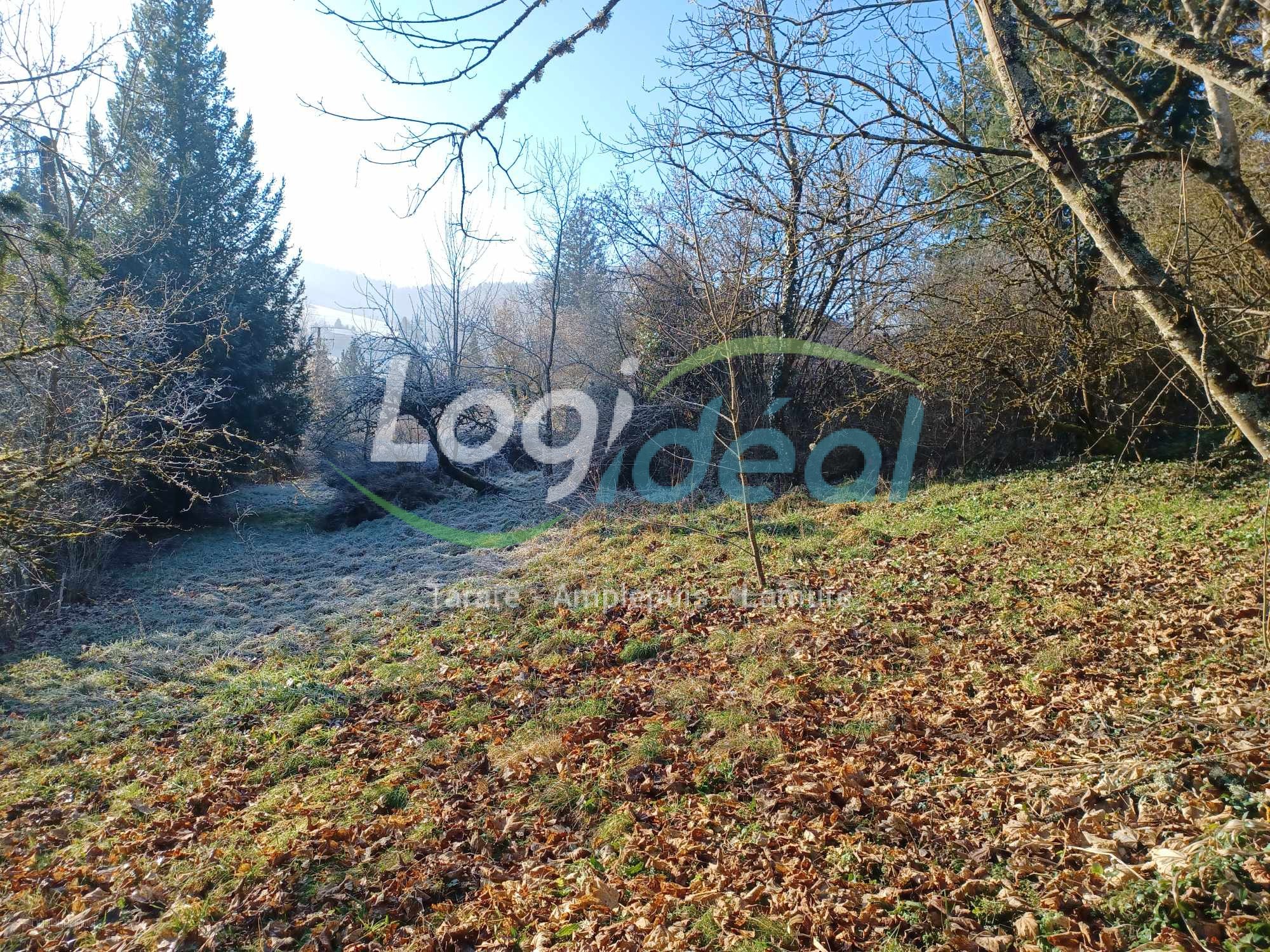 Bien immobilier à vendre à Grandris, 1 731 m² – photo 2 sur 2