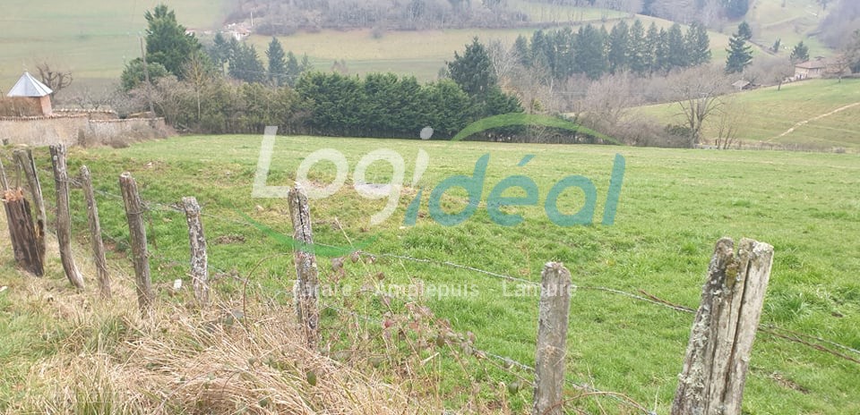 Bien immobilier à vendre à Grandris, 26 003 m² – photo 2 sur 2