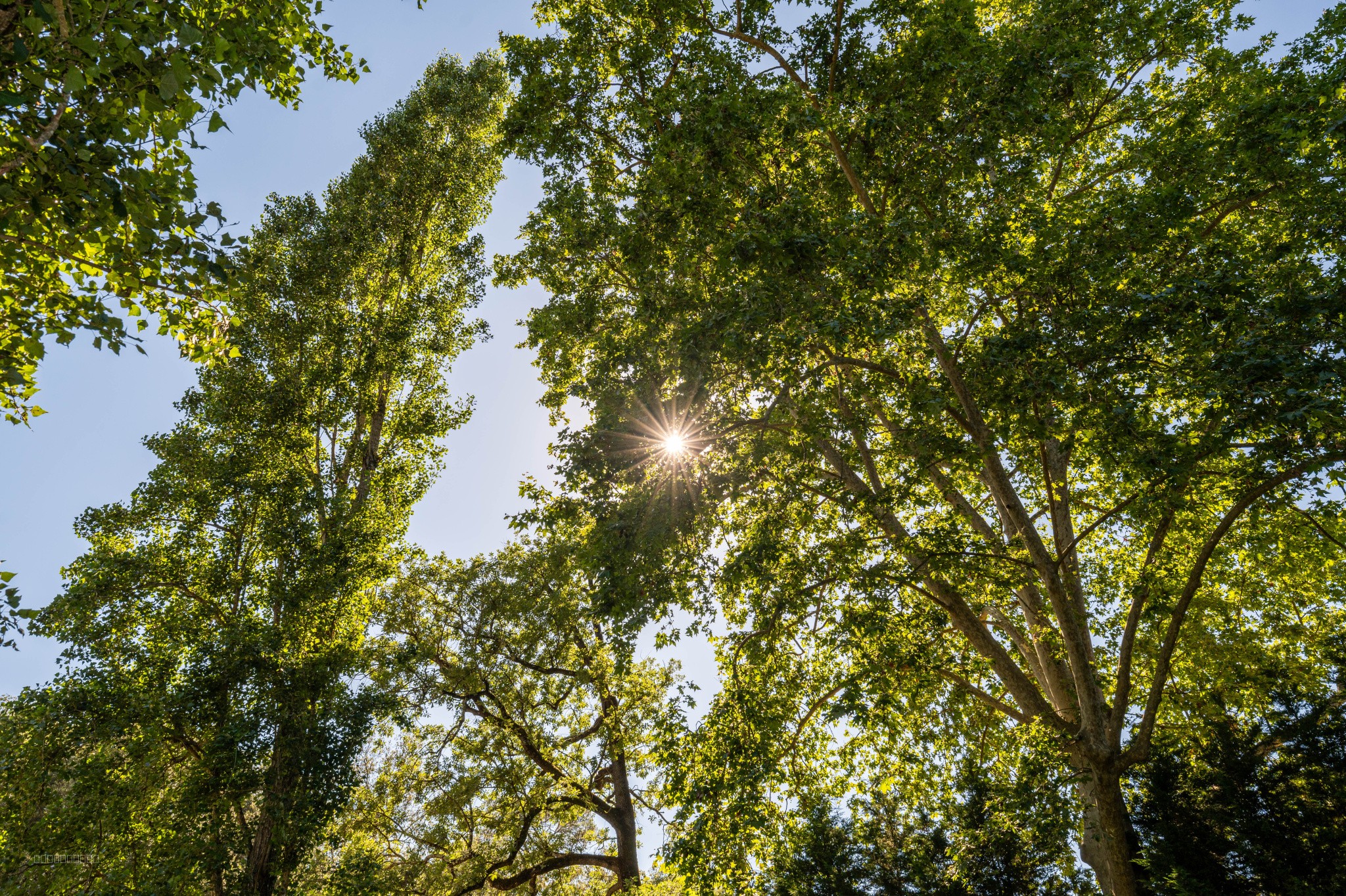 Location meublée 3 pièces esprit villa avec jardin privatif   domaine sécurisé, calme absolu — photo 16