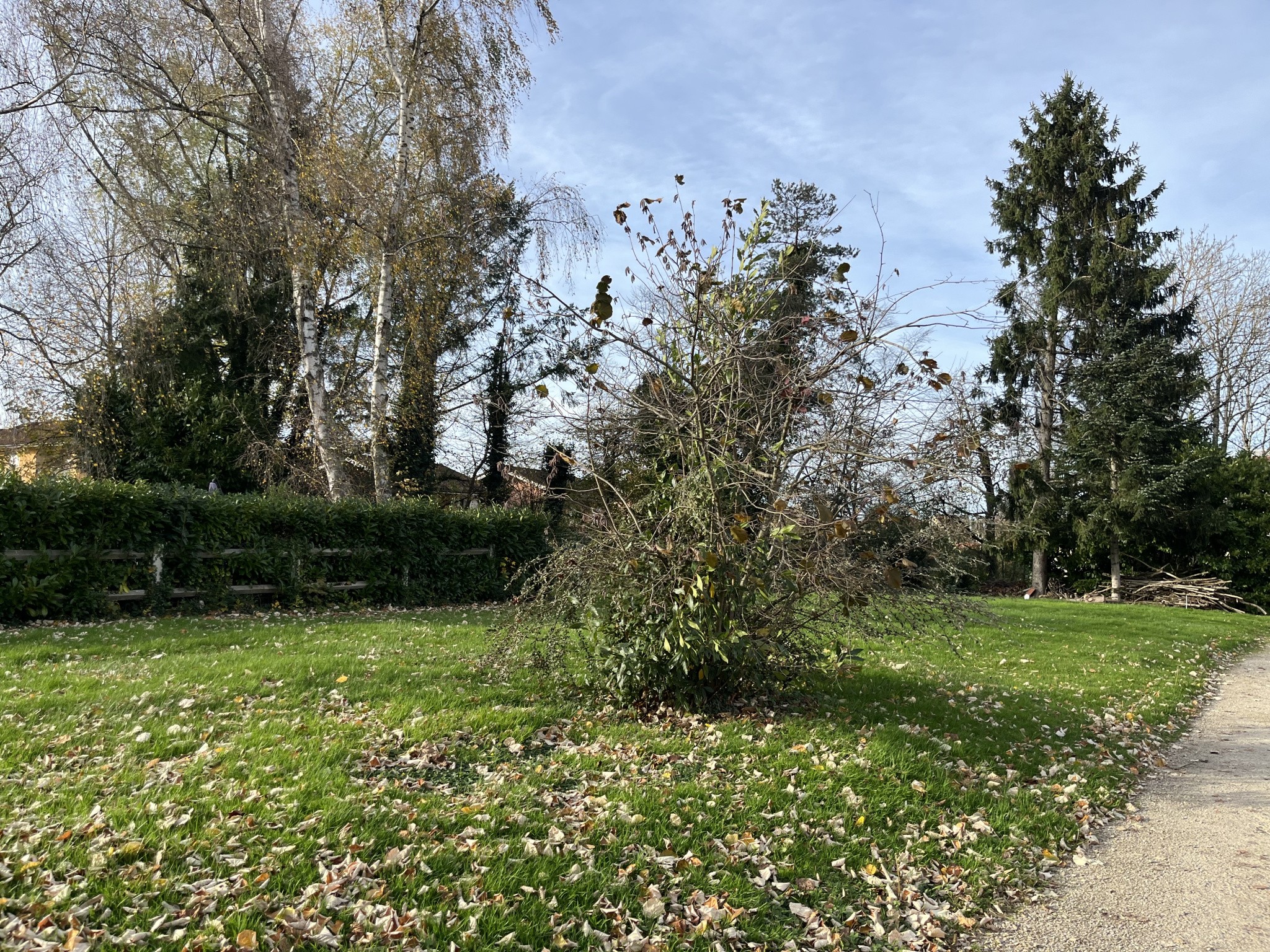 Bien immobilier à vendre à Bourg en bresse, 873 m² – photo 3 sur 7