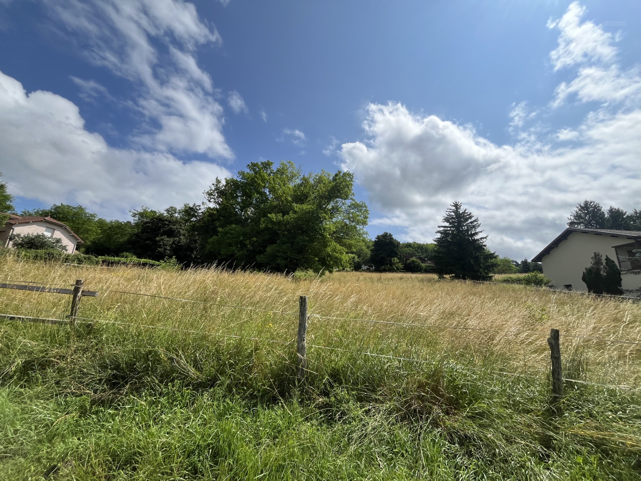 Terrain à vendre à Courmangoux, 4 076 m² – photo 3 sur 3