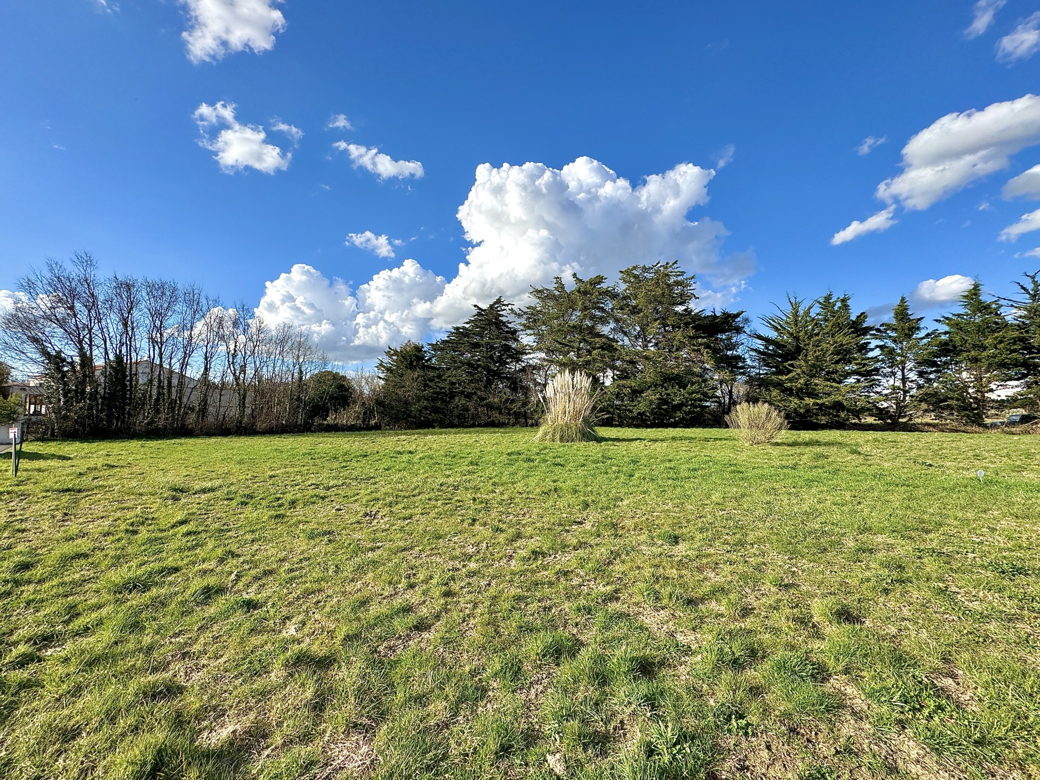 Bien immobilier à vendre à Le fenouiller, 1 500 m² – photo 2 sur 2