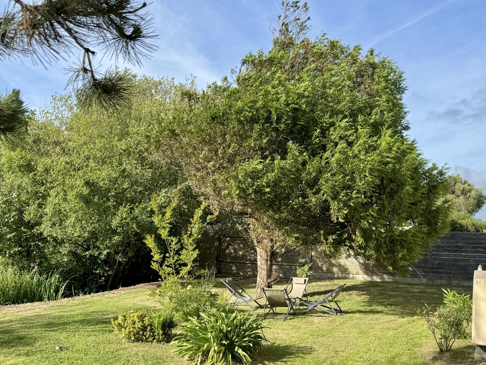 'HIPPODROME' Vaste ensemble Immobilier de 890 m2 sur terrain de 5700 m2 — photo 14