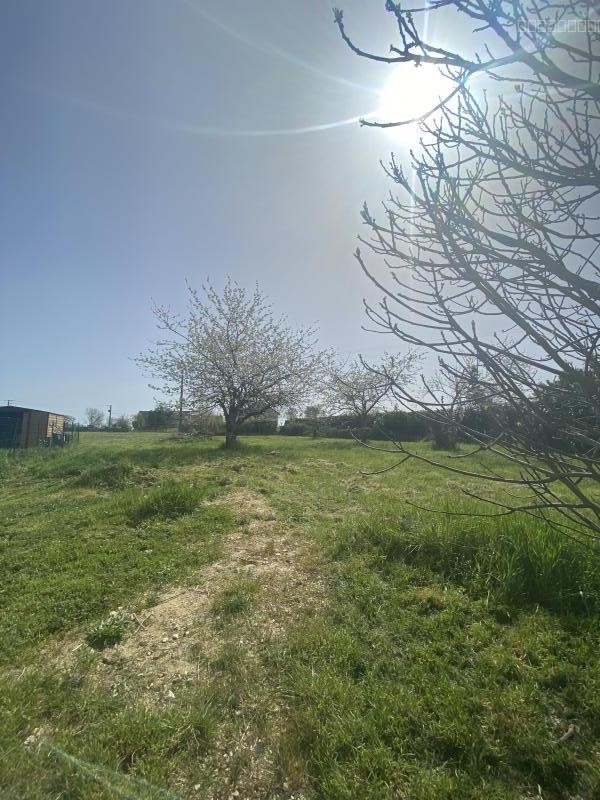 Terrain à vendre à Targe, 2 200 m² – photo 1 sur 4