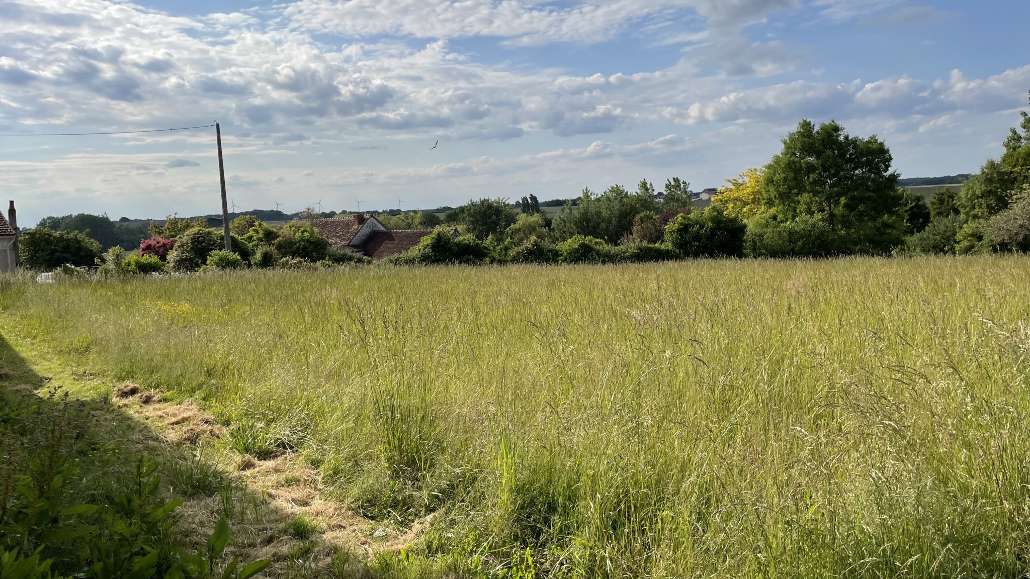 Bien immobilier à vendre à Coussay les bois, 2 590 m² – photo 1 sur 4