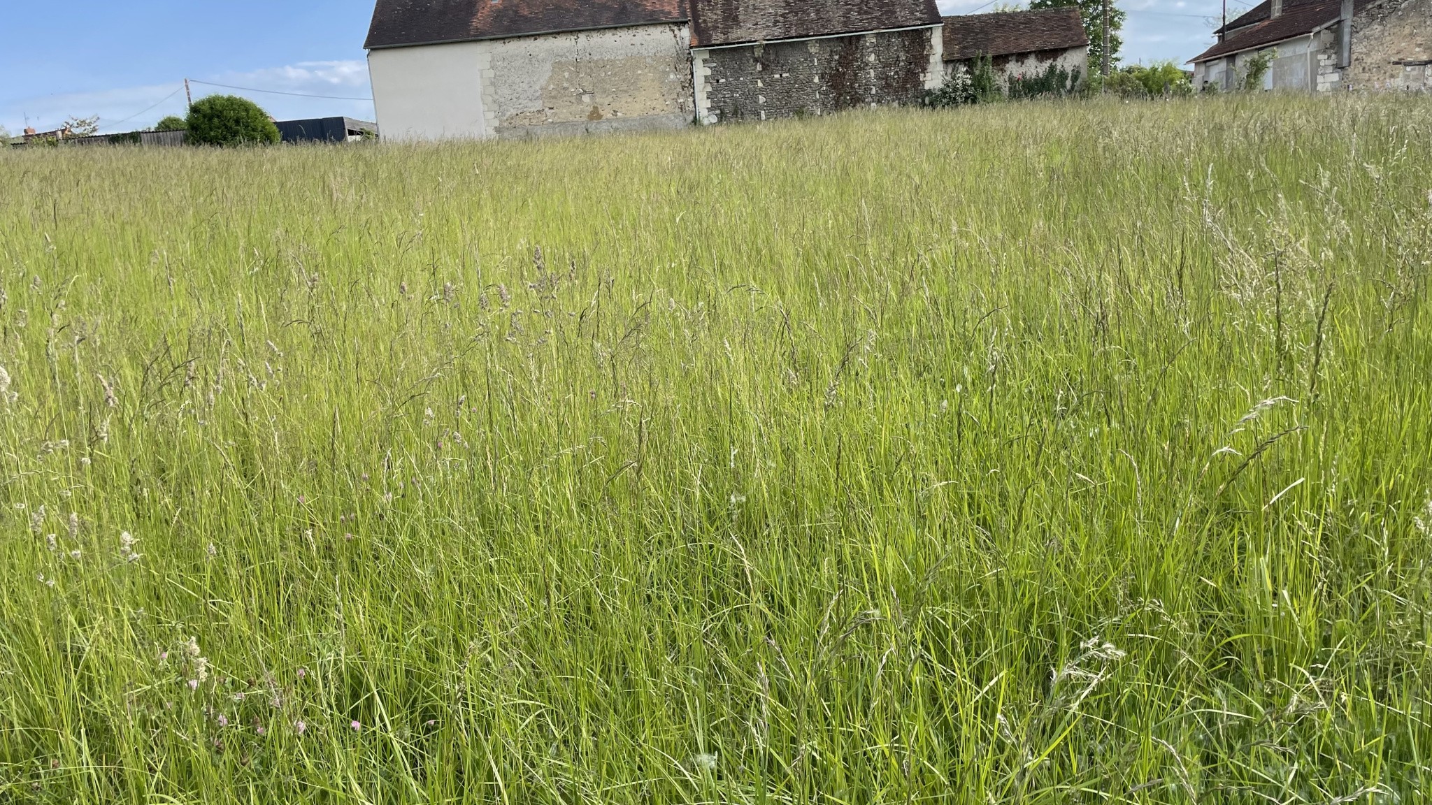 Bien immobilier à vendre à Coussay les bois, 2 590 m² – photo 3 sur 4