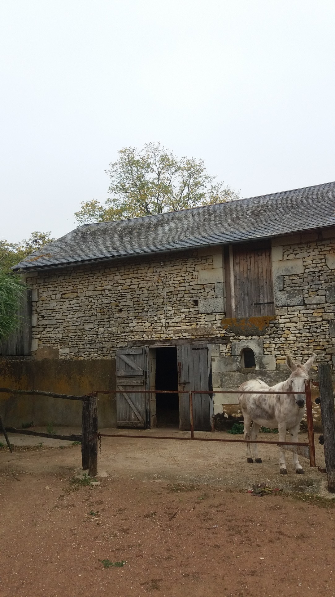 Maison à vendre à St jean de sauves, 245 m², 7 pièces – photo 1 sur 10