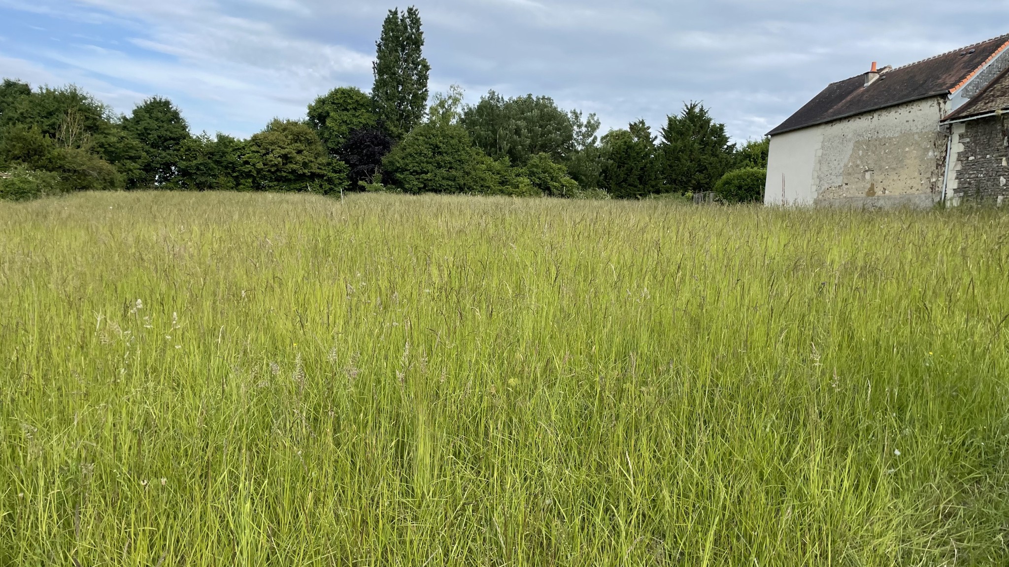 Bien immobilier à vendre à Coussay les bois, 2 590 m² – photo 2 sur 4